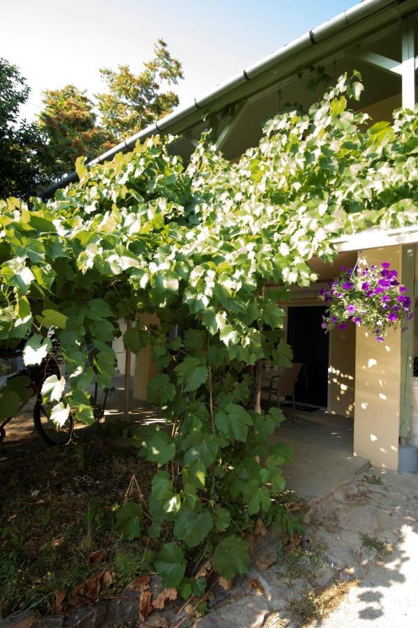 Ferienwohnung King Kong Kapitany Vendeghaz Fonyód Exterior foto